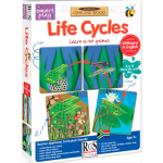 Life Cycles  Life Cycles